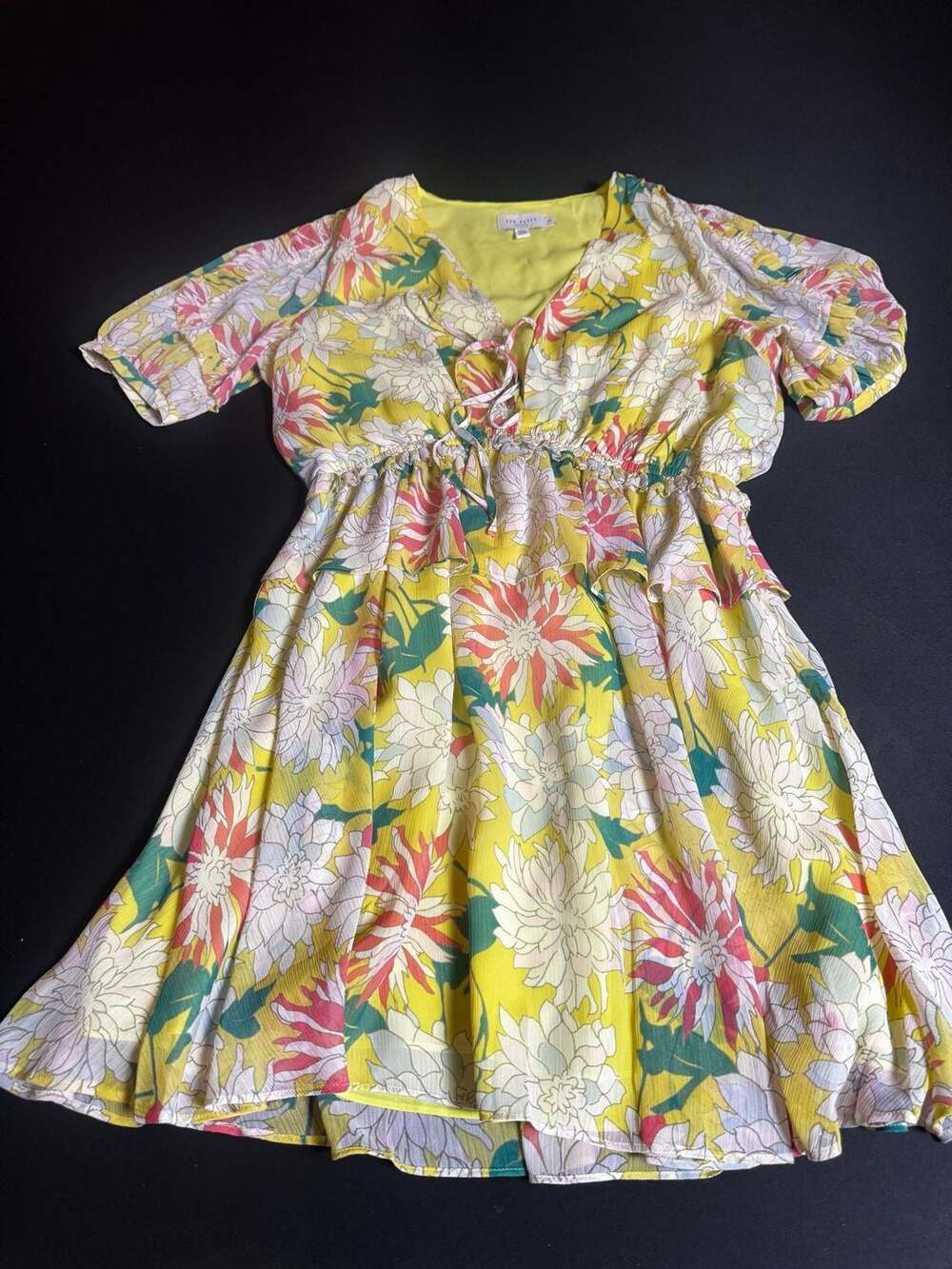 Ted Baker London Isbella Floral Print Dress Size 3